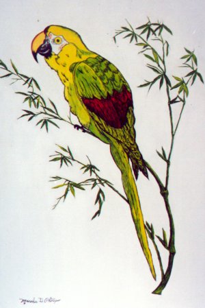 green.jpg (38893 bytes)